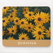 bonito flores da margarida do ouro, adicione seu n