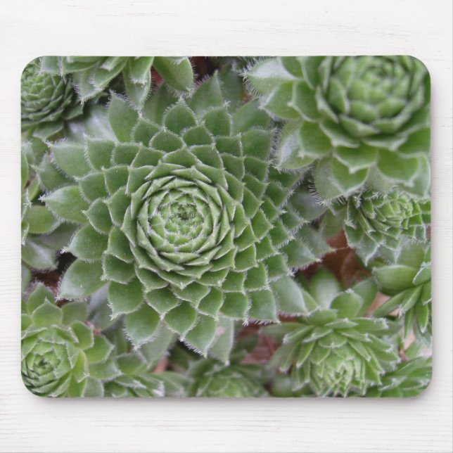Mousepad Bonito Mouse Flor (Frente)