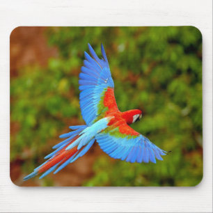 Mousepad Bonito Mouse Macaw