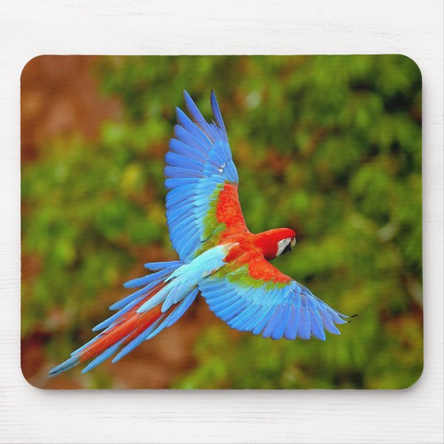 Mousepad Bonito Mouse Macaw (Frente)