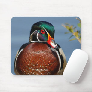 Mousepad Bonito Pato Pensivo de Madeira no pântano