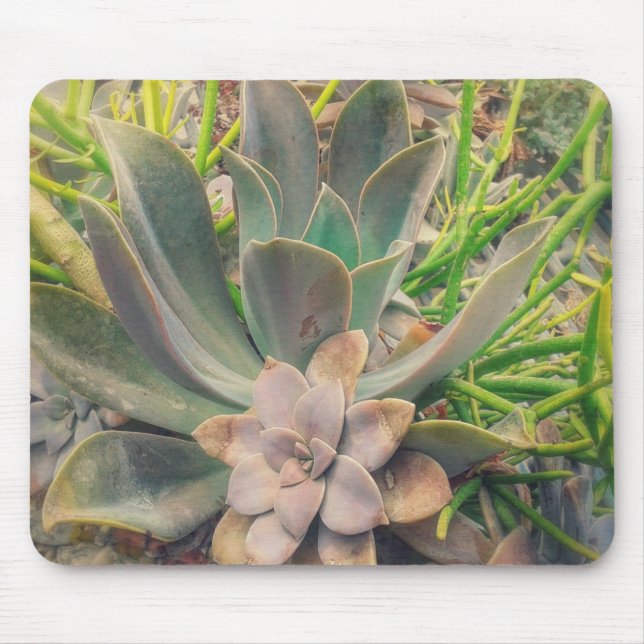 Mousepad Bonito Plantas Suculentas (Frente)