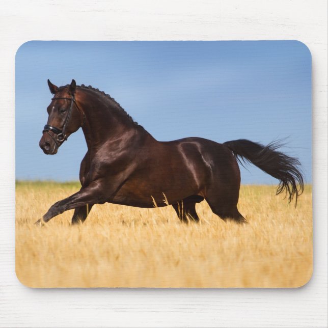 Mousepad Bonito rato de cavalo (Frente)