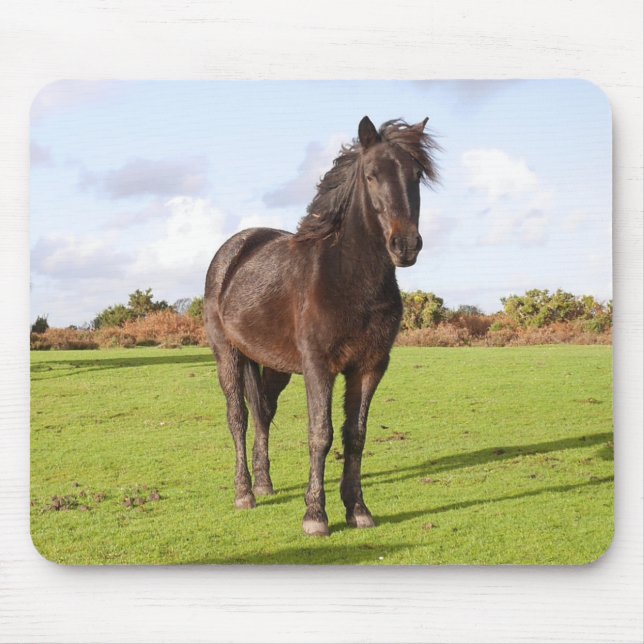 Mousepad Bonito rato de cavalo (Frente)