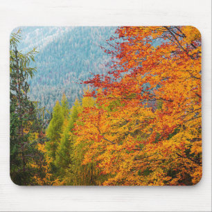 Mousepad Bonito rato de paisagem exterior