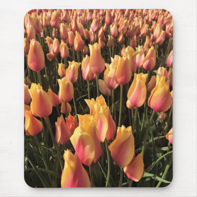 Mousepad Bonito Tulipas Rosa e Amarelo (Frente)