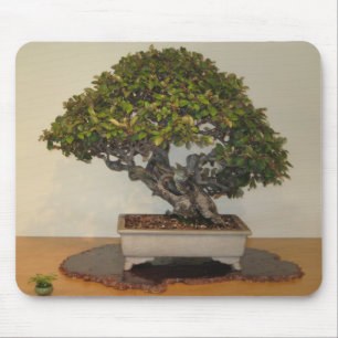 Mousepad Bonsais no arboreto nacional, C.C. de Washington