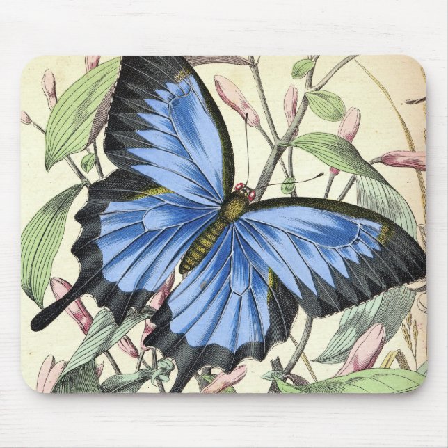 Mousepad Borboleta (Frente)