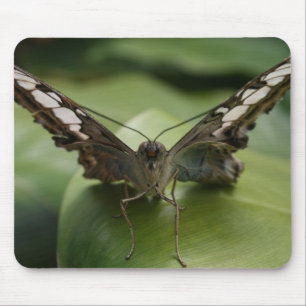 Mousepad Borboleta