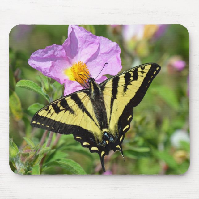 Mousepad Borboleta (Frente)