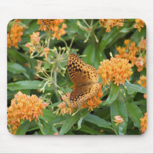 Mousepad borboleta