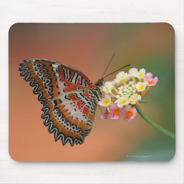 Mousepad borboleta 2 (Frente)