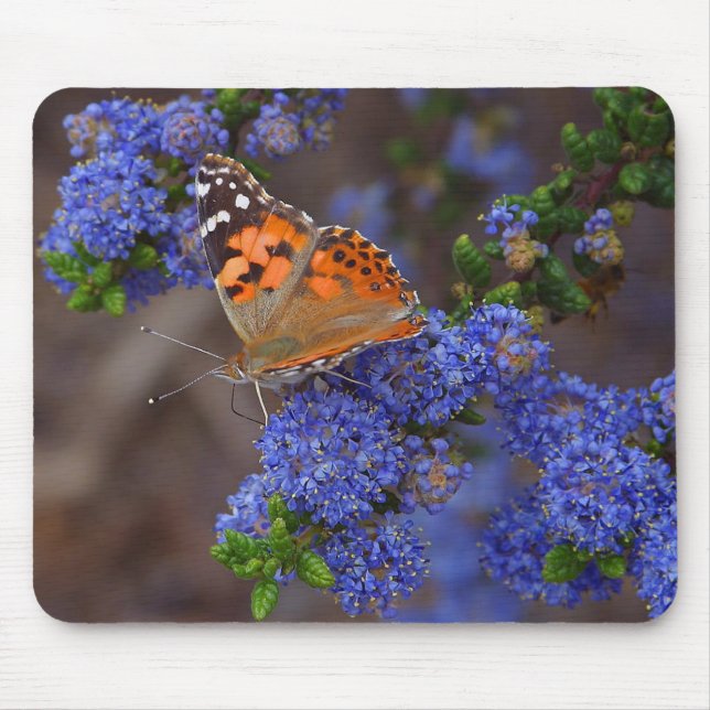 Mousepad Borboleta alaranjada na flor azul (Frente)