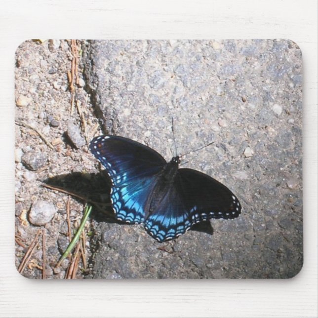 Mousepad Borboleta Almirante de Manchas Vermelhas (Frente)