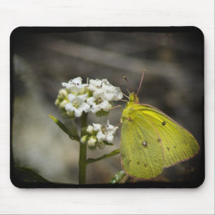 Mousepad Borboleta Amarela