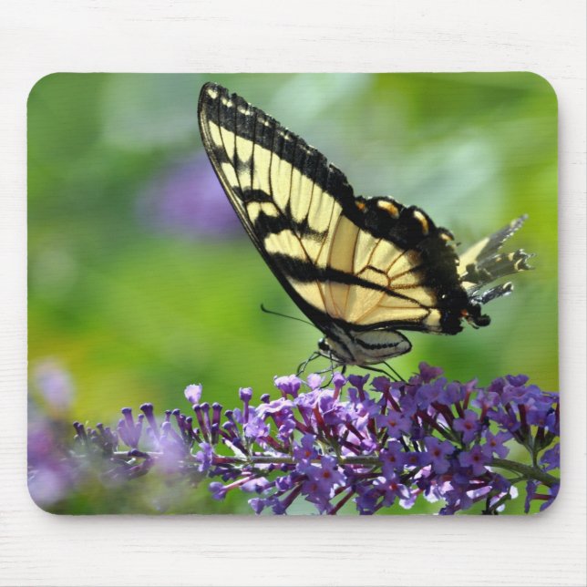 Mousepad Borboleta amarela e preta na Lavanda (Frente)