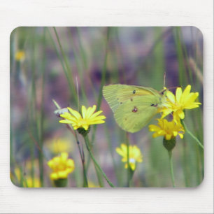 Mousepad Borboleta amarela na flor amarela