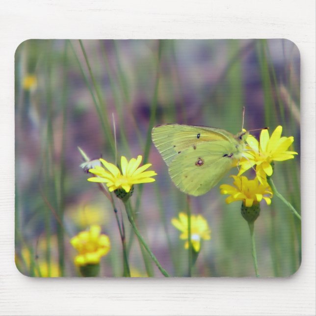 Mousepad Borboleta amarela na flor amarela (Frente)