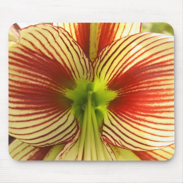 Mousepad Borboleta Amaryllis (Frente)