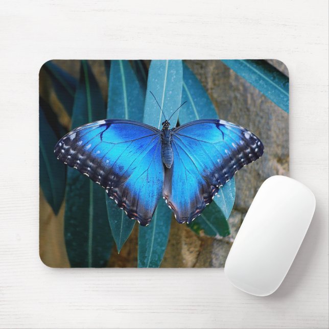 Mousepad Borboleta Azul Comum Morpho (Com mouse)