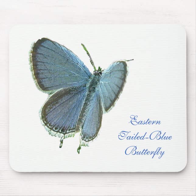 Mousepad Borboleta Azul De Altura Oriental (Frente)