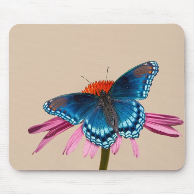 Mousepad Borboleta azul no Coneflower (Frente)