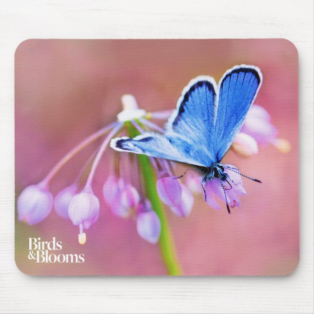 Mousepad Borboleta Azure (Frente)