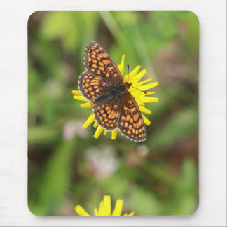 Mousepad Borboleta - Bonita!