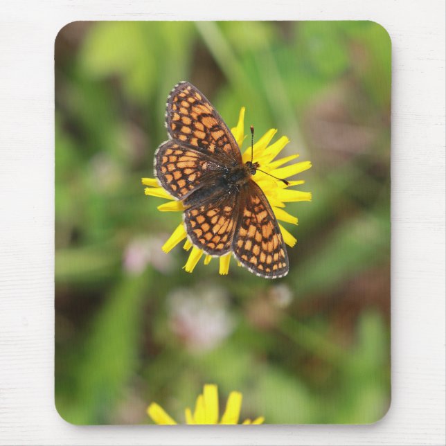 Mousepad Borboleta - Bonita! (Frente)