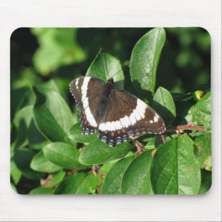 Mousepad Borboleta bonita