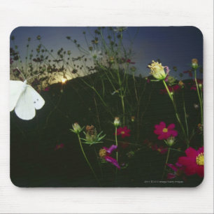 Mousepad Borboleta branca em vôo no por do sol