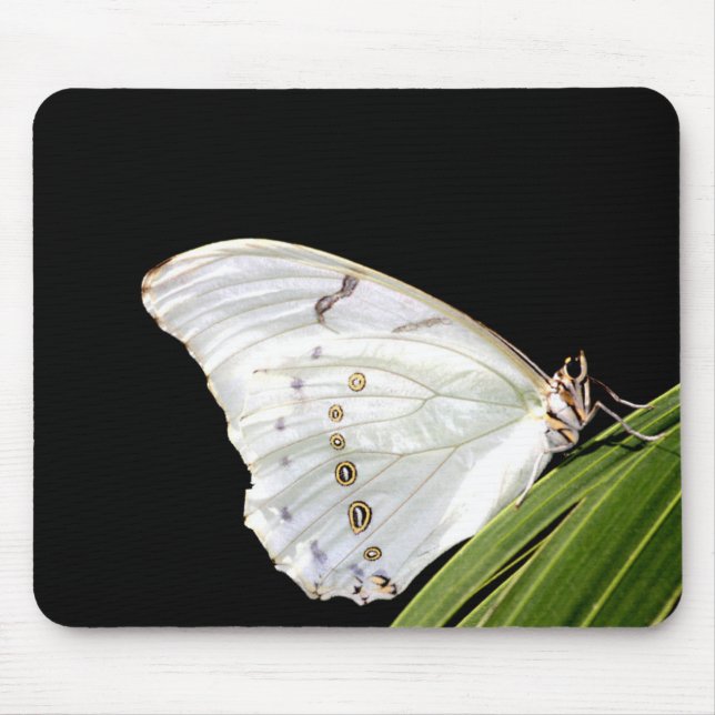Mousepad Borboleta branca Morpho na folha (Frente)