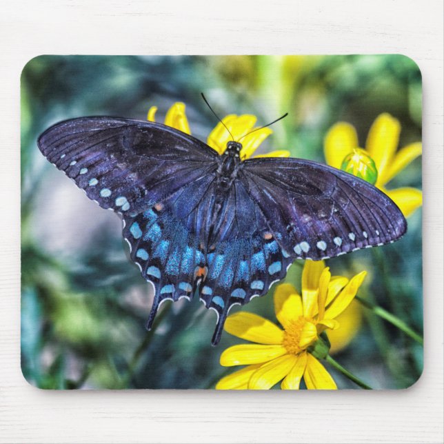 Mousepad Borboleta-cauda-negra com flores amarelas (Frente)