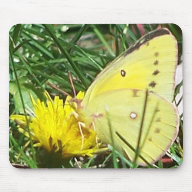 Mousepad Borboleta Dandelion (Frente)