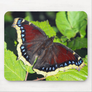 Mousepad Borboleta de casaco da beleza ou de lamentação d