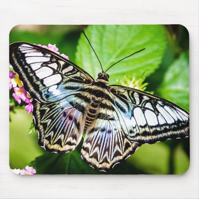 Mousepad Borboleta de Clipper Azul (Frente)