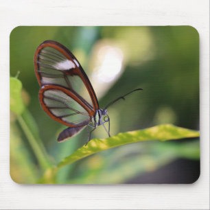 Mousepad Borboleta De Descoloração