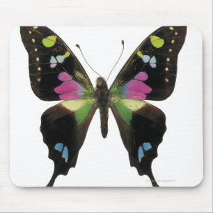 Mousepad Borboleta de Graphium