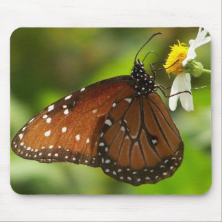 Mousepad Borboleta de monarca