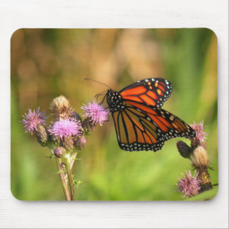 Mousepad Borboleta de monarca