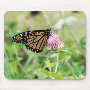 Mousepad Borboleta de monarca