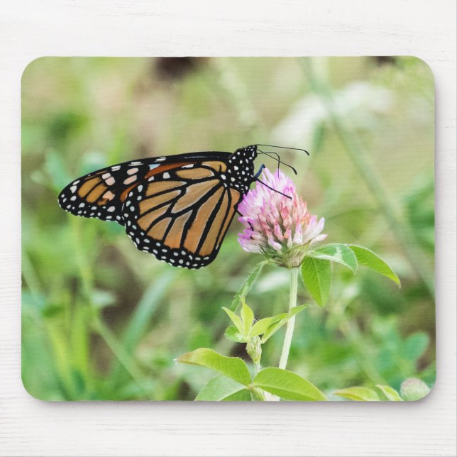 Mousepad Borboleta de monarca (Frente)