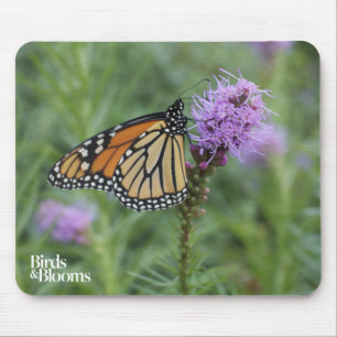 Mousepad Borboleta de monarca