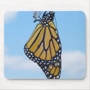 Mousepad Borboleta de monarca, com crisálida