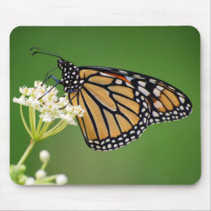 Mousepad Borboleta de monarca no Milkweed de pântano