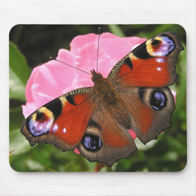 Mousepad Borboleta de pavão (Frente)