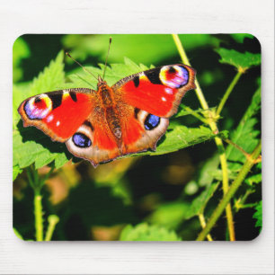Mousepad Borboleta de pavão, borboleta, folhas
