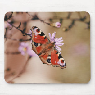 Mousepad Borboleta de pavão, flor, polinização