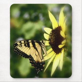 Mousepad Borboleta de Swallowtail do tigre