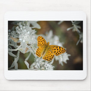 Mousepad Borboleta-de-vidro laranja e preto